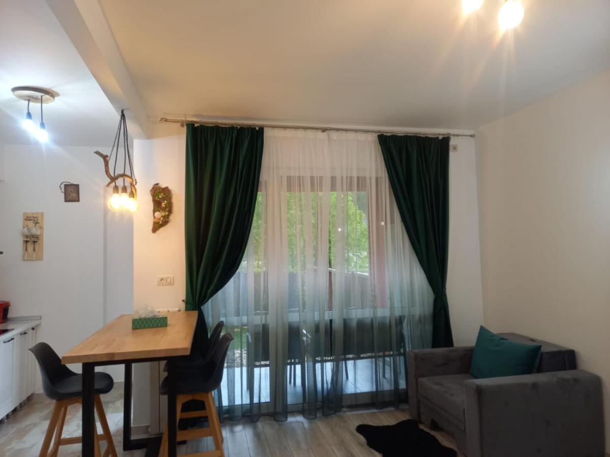 Belleview Garden Studio Apartment Синая Екстериор снимка